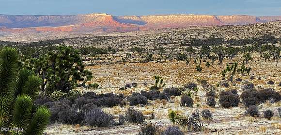 190 Acres of Land for Sale in Meadview, Arizona