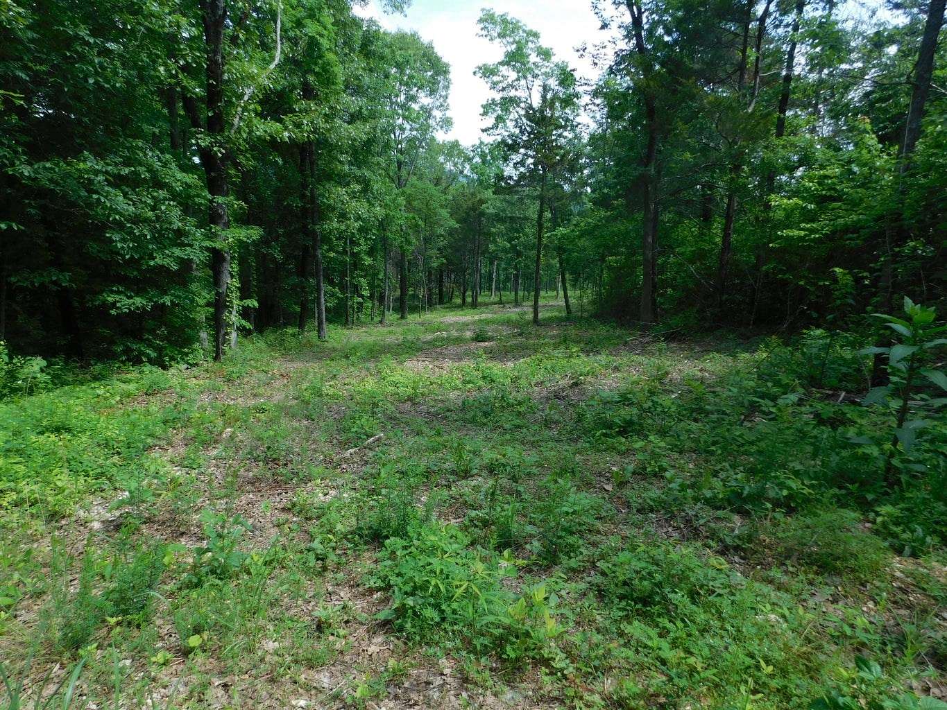 20 Acres of Recreational Land & Farm for Sale in Marble Falls Township, Arkansas