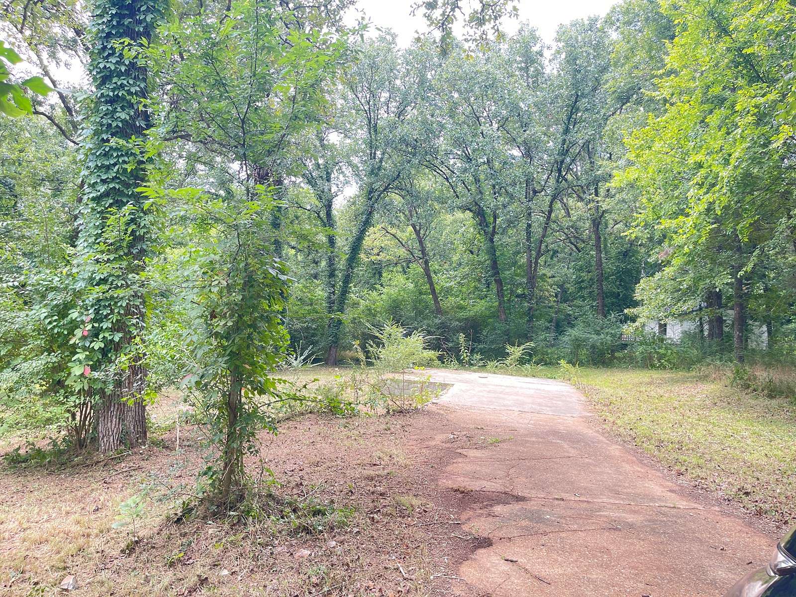 0.35 Acres of Residential Land for Sale in Cherokee Village, Arkansas