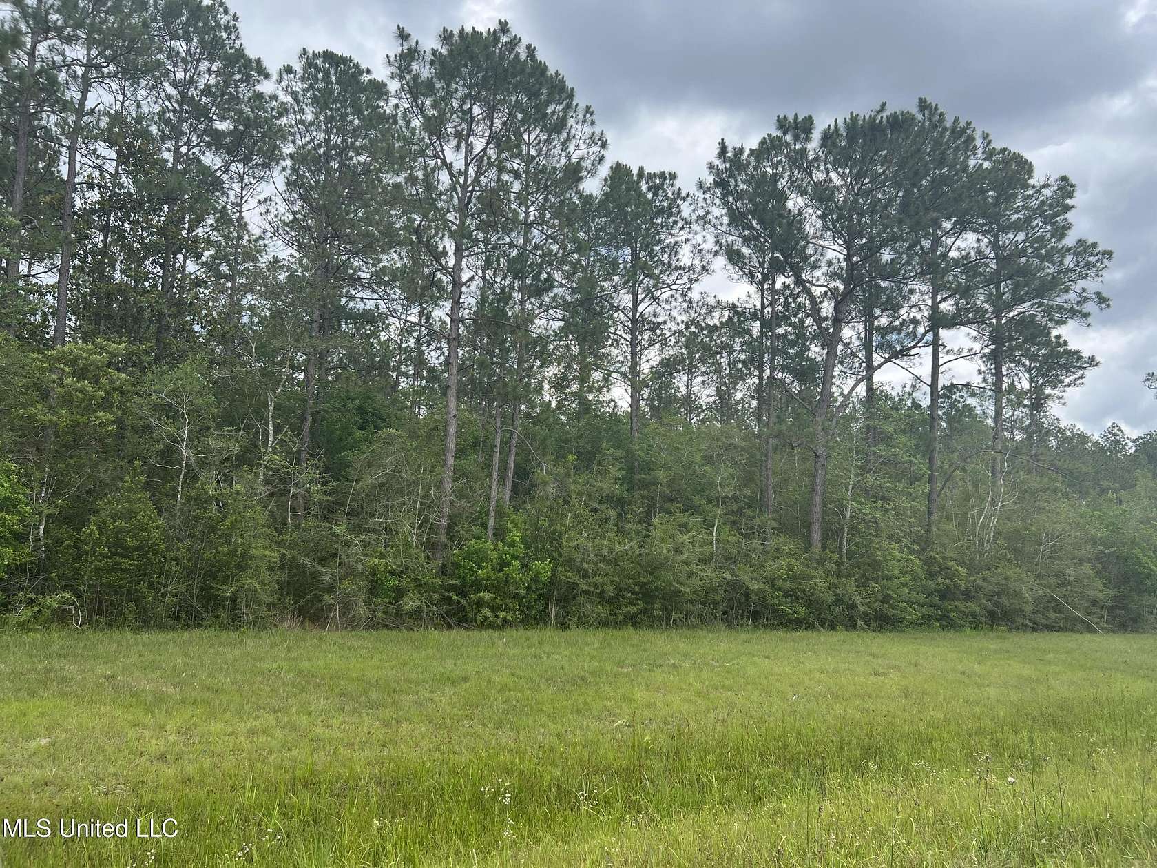 65 Acres of Agricultural Land for Sale in Moss Point, Mississippi