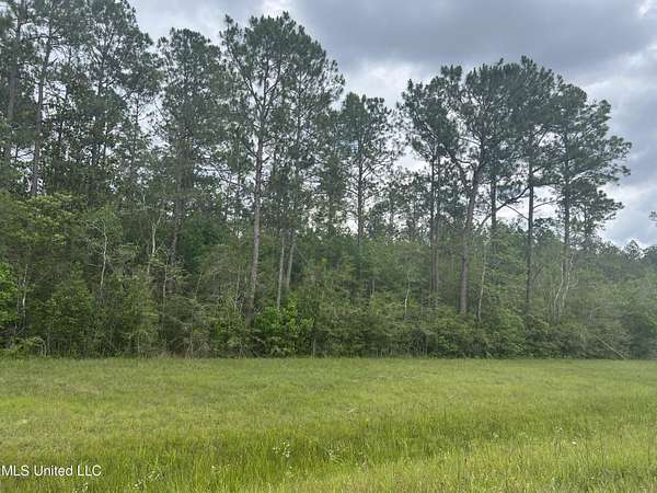 65 Acres of Agricultural Land for Sale in Moss Point, Mississippi