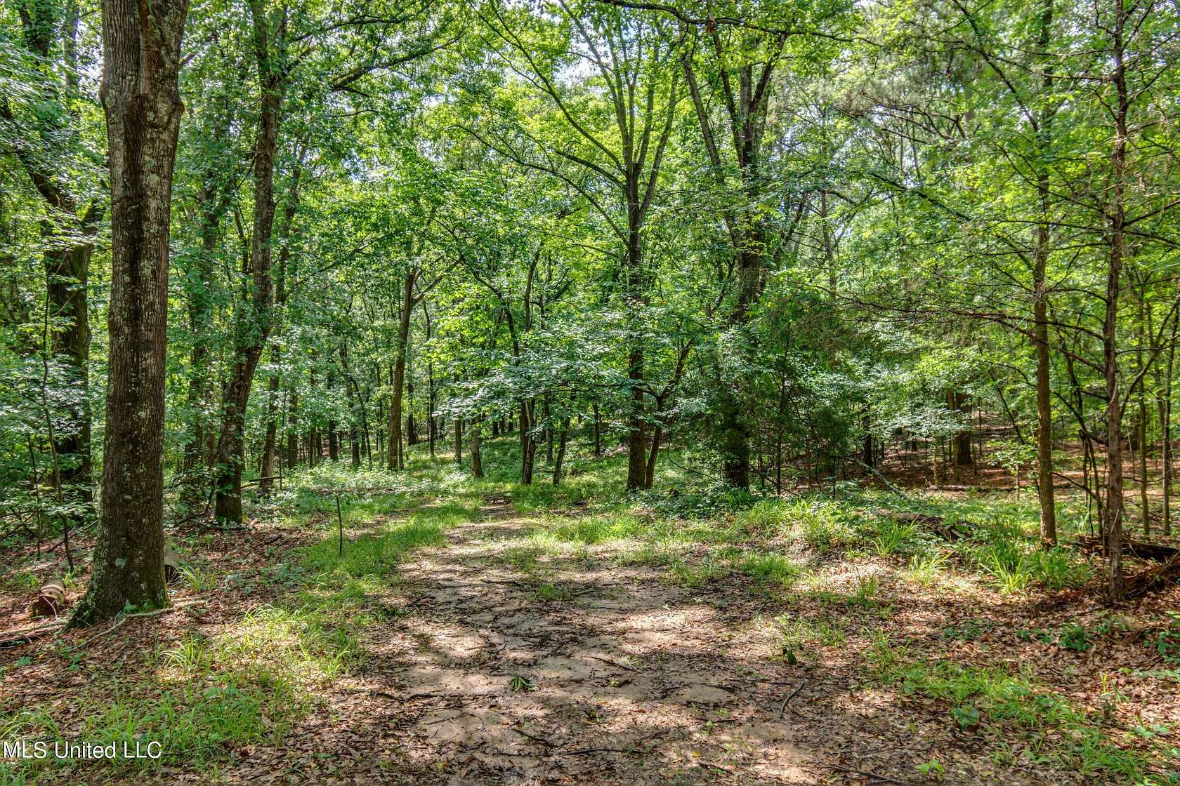 9.9 Acres of Residential Land for Sale in Madison, Mississippi