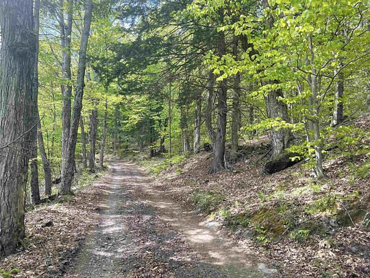 20 Acres of Land for Sale in Tunbridge, Vermont