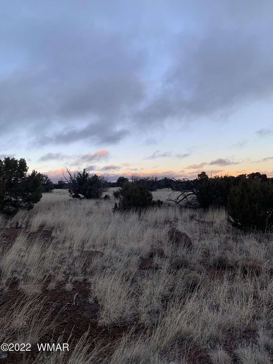 1 Acre of Residential Land for Sale in Concho, Arizona