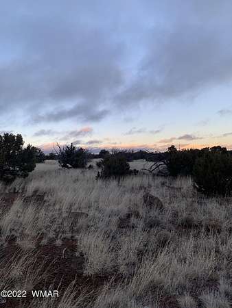 1 Acre of Residential Land for Sale in Concho, Arizona