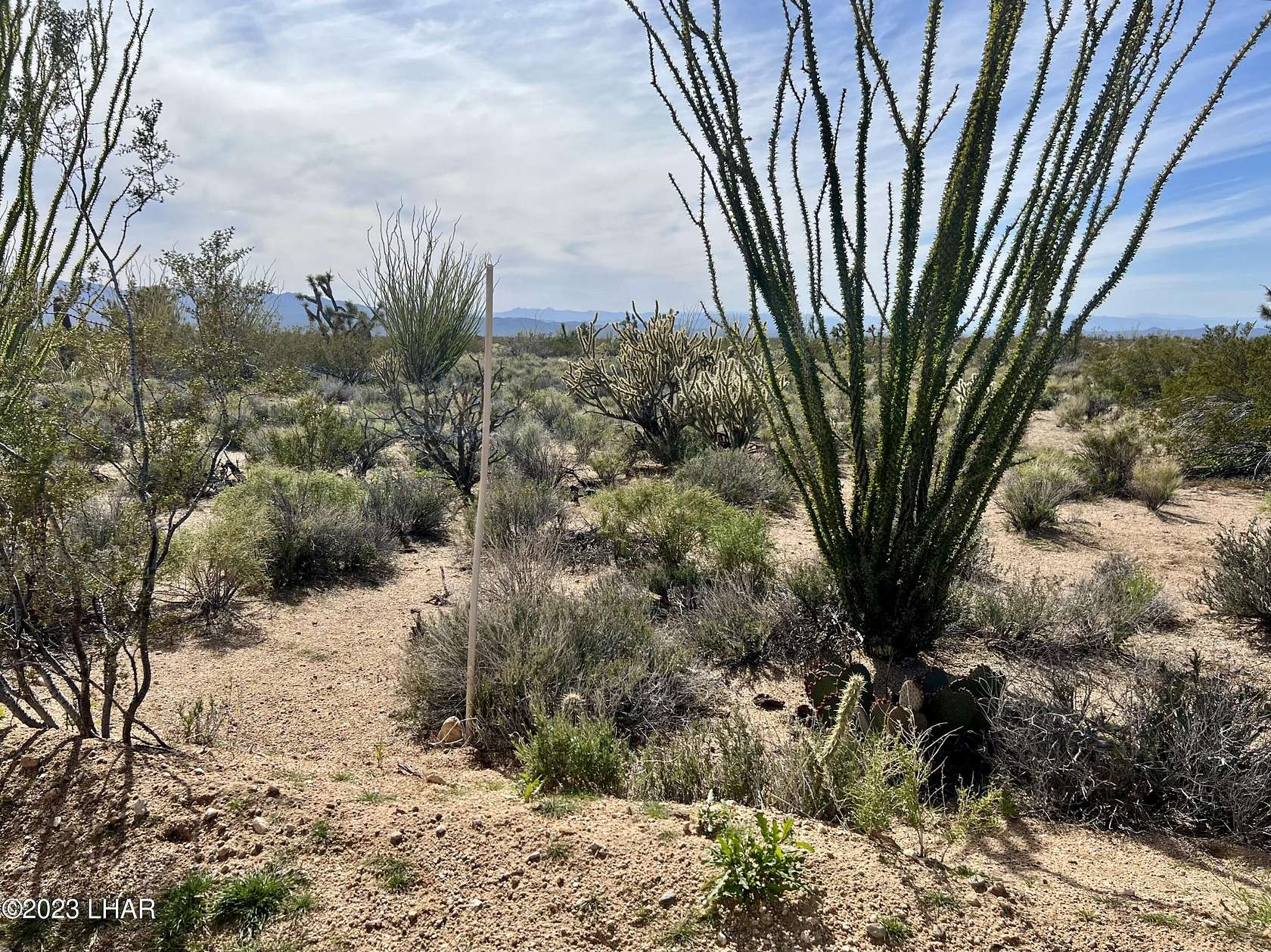 39.5 Acres of Land for Sale in Yucca, Arizona