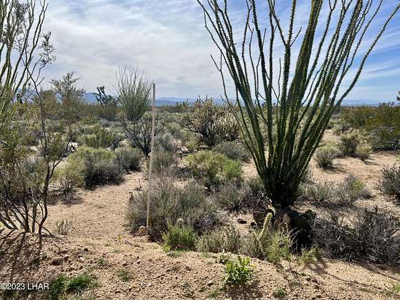 39.5 Acres of Land for Sale in Yucca, Arizona