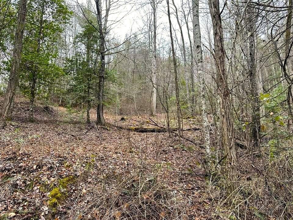 1.3 Acres of Residential Land for Sale in Topton, North Carolina