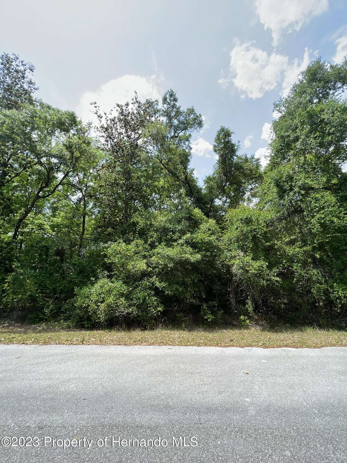 1 Acre of Residential Land for Sale in Chiefland, Florida
