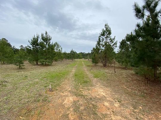 73.9 Acres of Recreational Land for Sale in Sumter, South Carolina