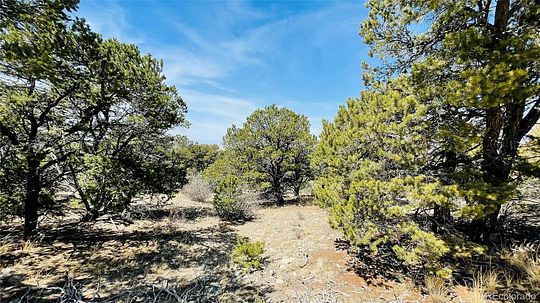 1.4 Acres of Residential Land for Sale in Mosca, Colorado