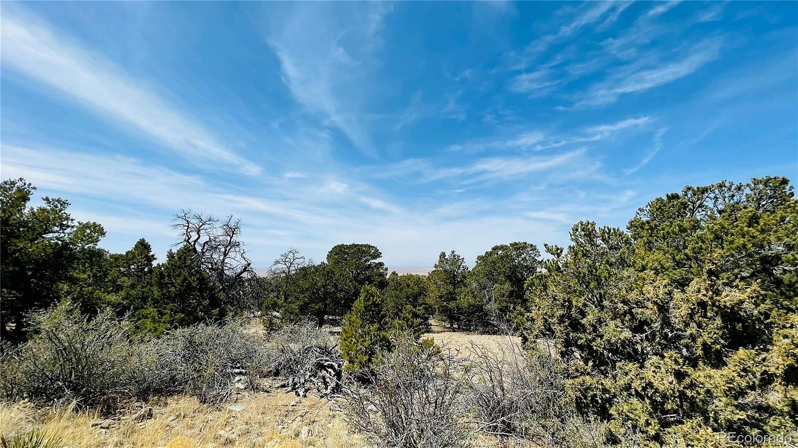 1.1 Acres of Residential Land for Sale in Mosca, Colorado