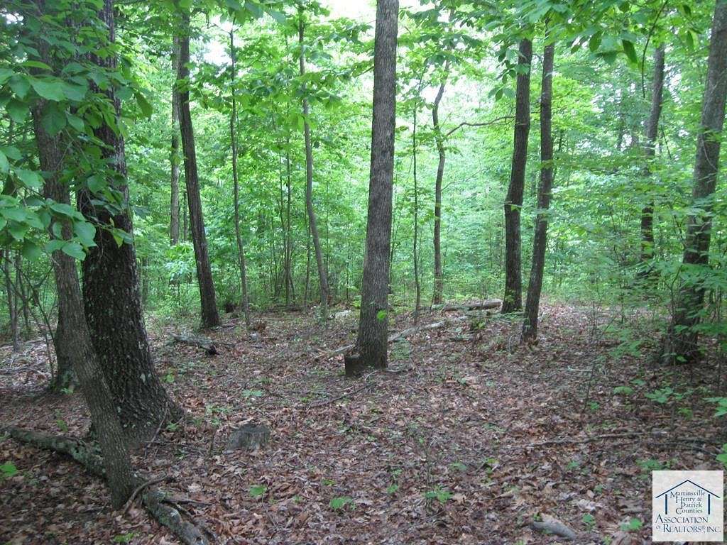 40 Acres of Recreational Land for Sale in Stuart, Virginia
