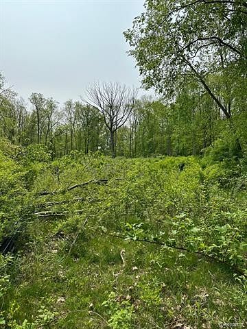 22.23 Acres of Land for Sale in Armada, Michigan