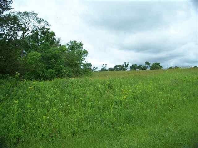 0.56 Acres of Residential Land for Sale in Galena, Illinois