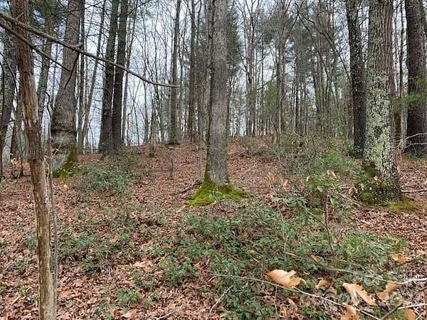 2 Acres of Residential Land for Sale in Nebo, North Carolina