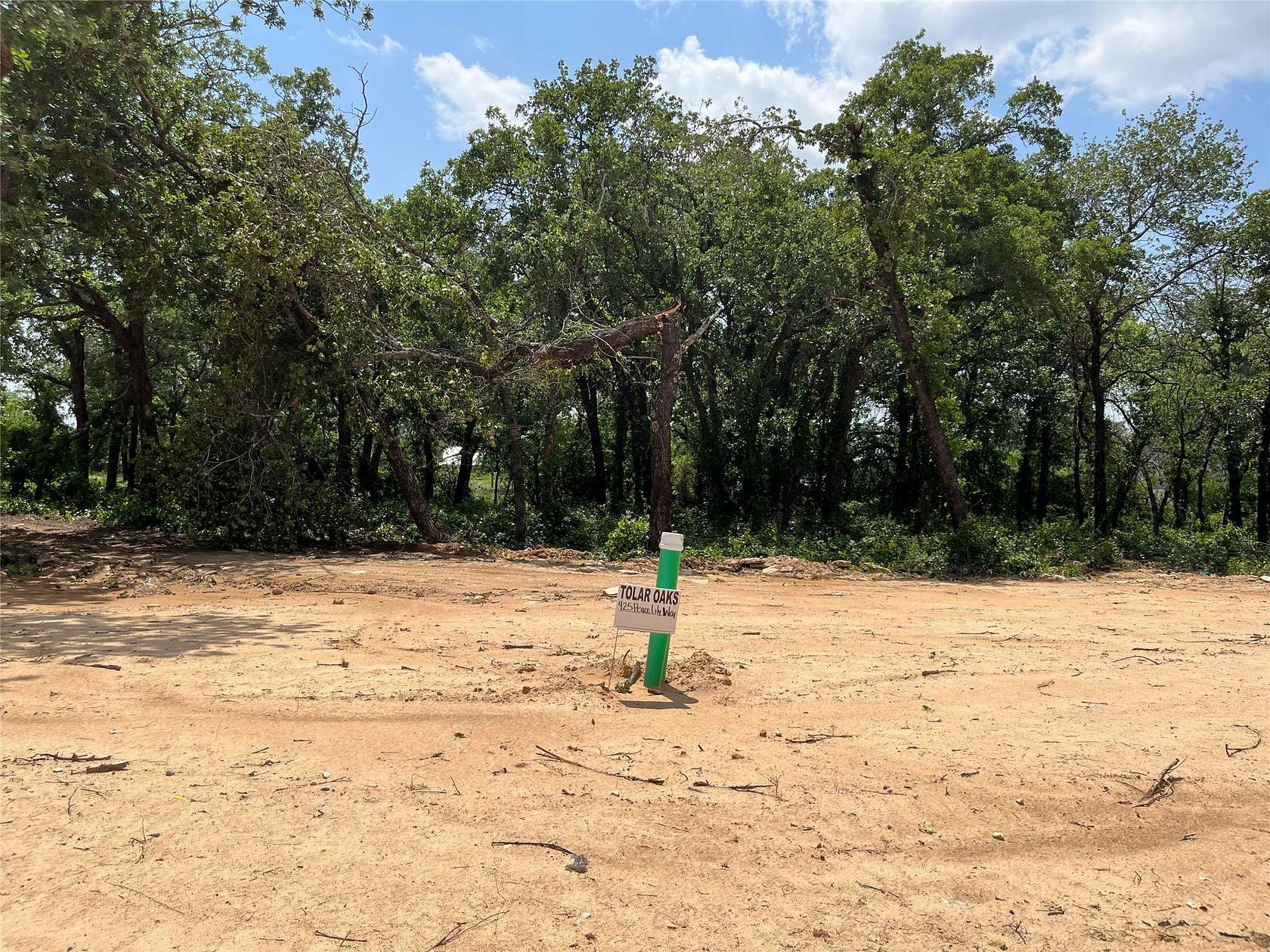 0.19 Acres of Land for Sale in Tolar, Texas