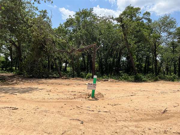 0.19 Acres of Land for Sale in Tolar, Texas