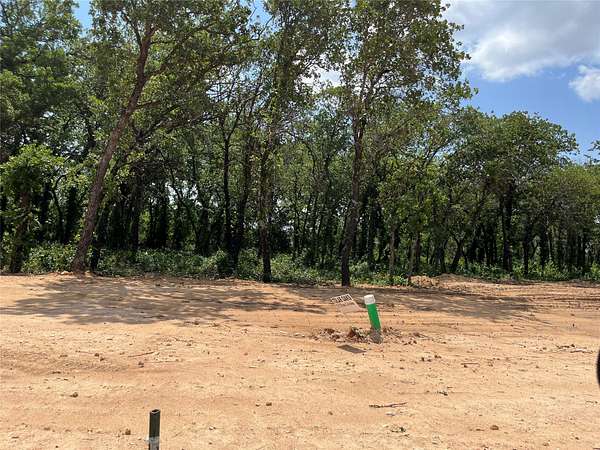 0.24 Acres of Land for Sale in Tolar, Texas
