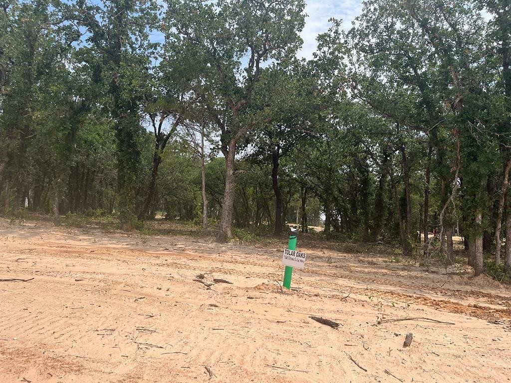0.16 Acres of Residential Land for Sale in Tolar, Texas