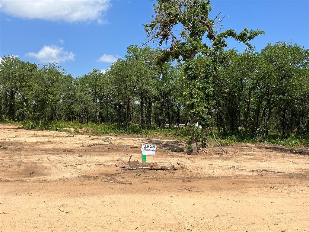 0.16 Acres of Residential Land for Sale in Tolar, Texas