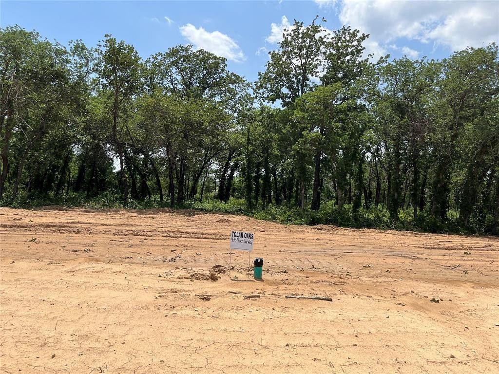 0.25 Acres of Residential Land for Sale in Tolar, Texas
