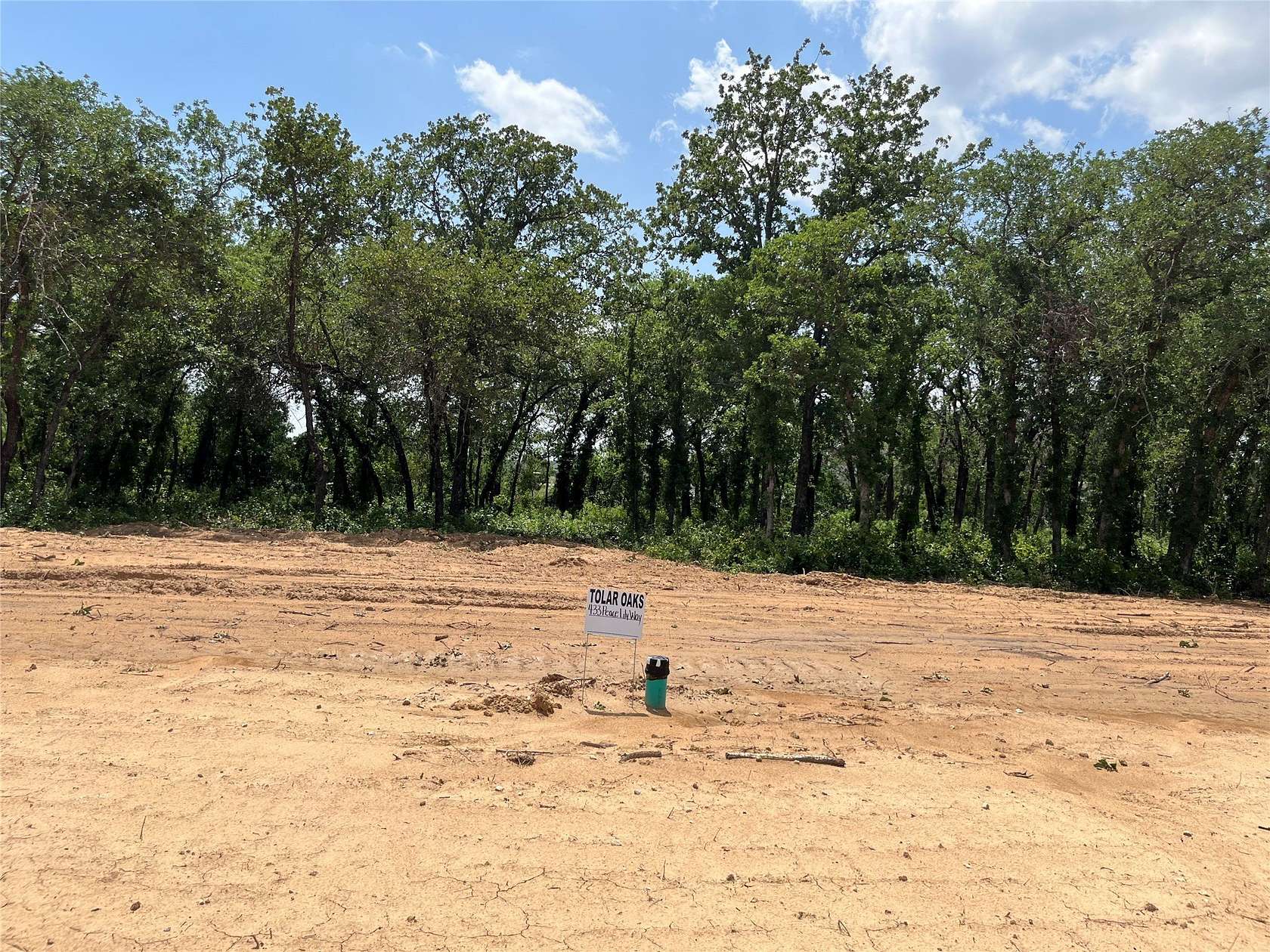 0.25 Acres of Land for Sale in Tolar, Texas