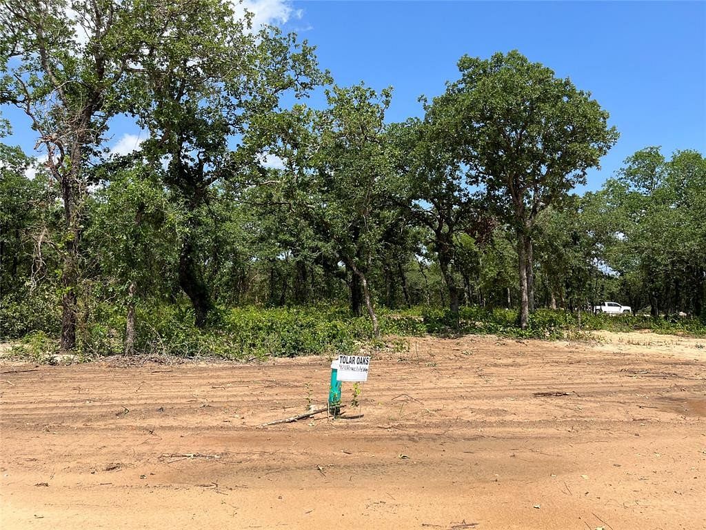0.16 Acres of Residential Land for Sale in Tolar, Texas