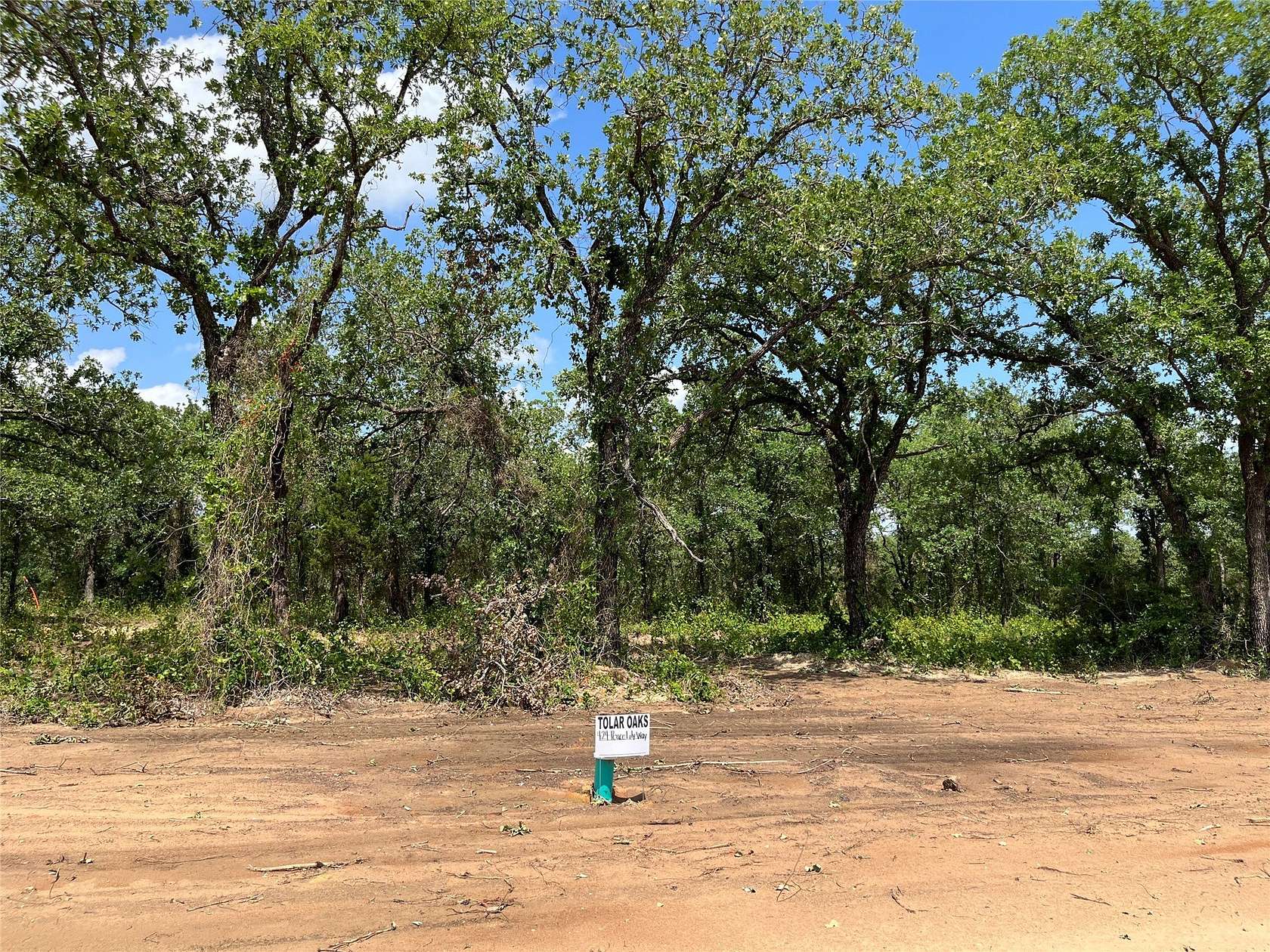 0.16 Acres of Land for Sale in Tolar, Texas
