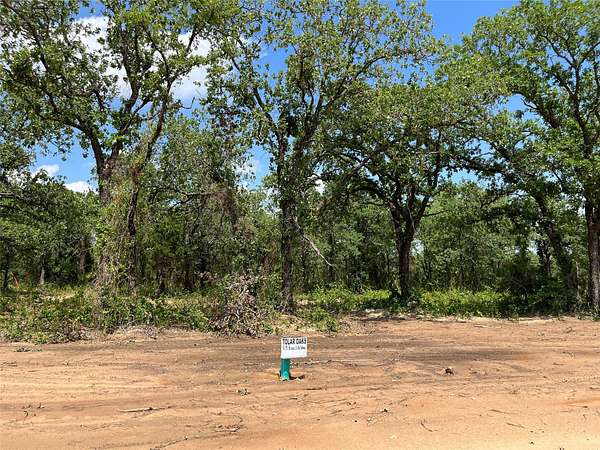 0.16 Acres of Land for Sale in Tolar, Texas