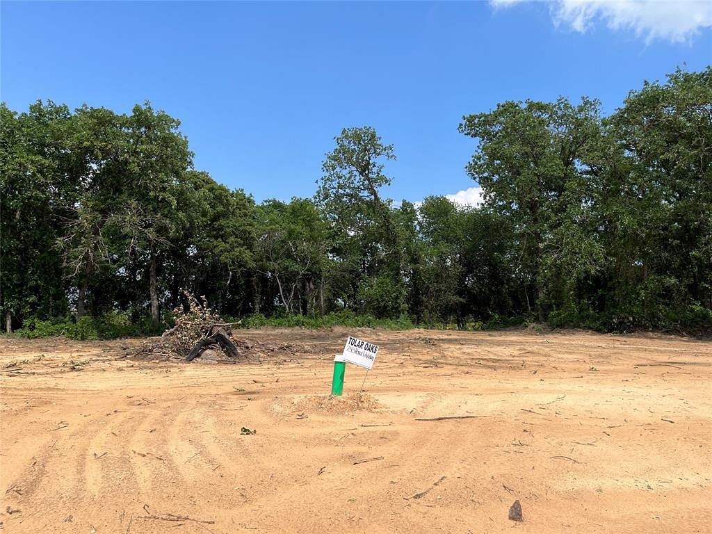 0.18 Acres of Residential Land for Sale in Tolar, Texas