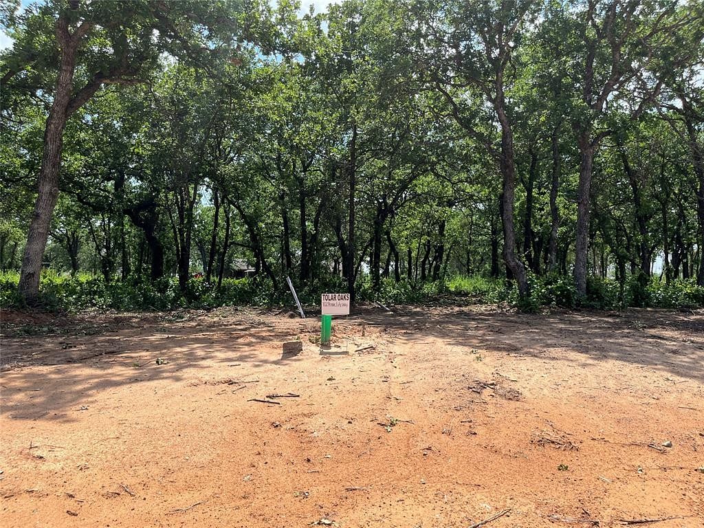 0.19 Acres of Residential Land for Sale in Tolar, Texas