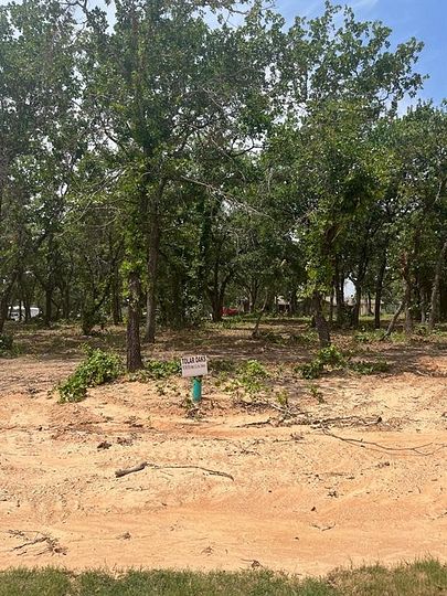0.22 Acres of Residential Land for Sale in Tolar, Texas