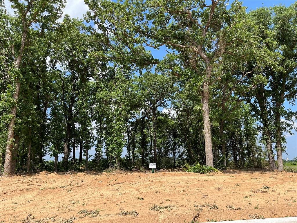 0.39 Acres of Residential Land for Sale in Tolar, Texas