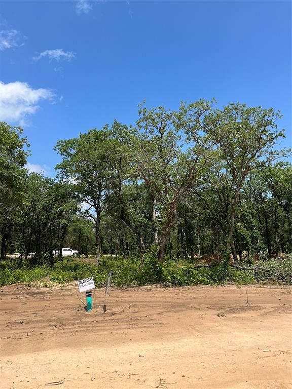 0.16 Acres of Residential Land for Sale in Tolar, Texas