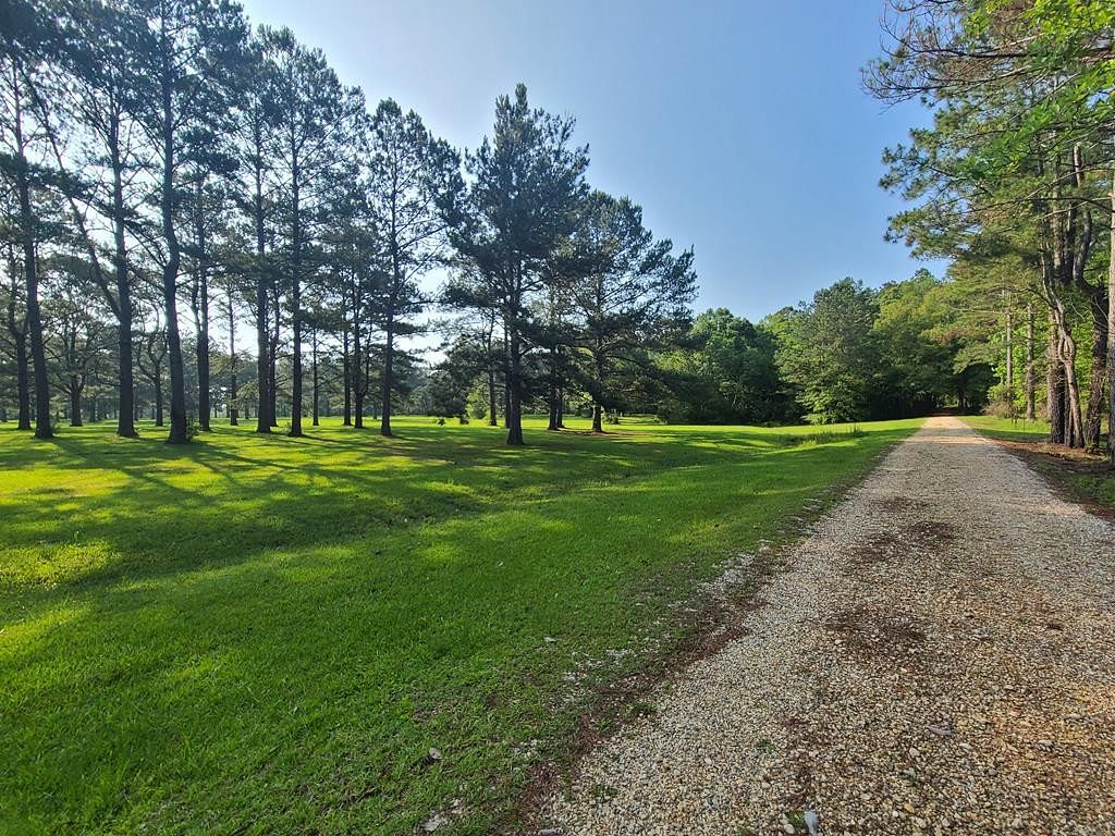 24.7 Acres of Land for Sale in Carriere, Mississippi
