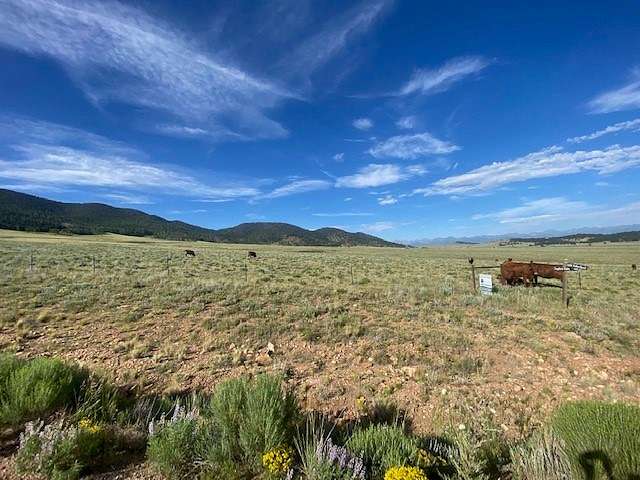 92.4 Acres of Recreational Land & Farm for Sale in Westcliffe, Colorado