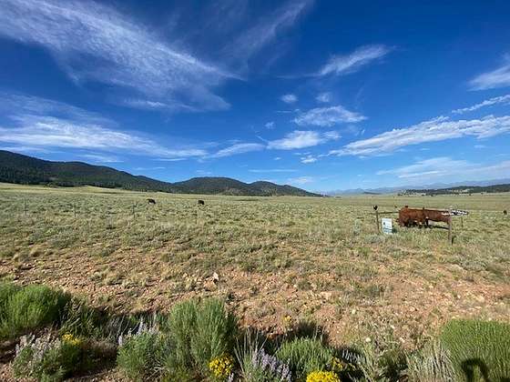92.4 Acres of Recreational Land & Farm for Sale in Westcliffe, Colorado