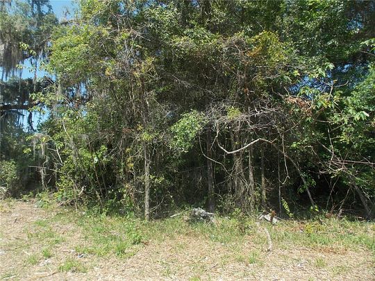 0.33 Acres of Residential Land for Sale in Coleman, Florida