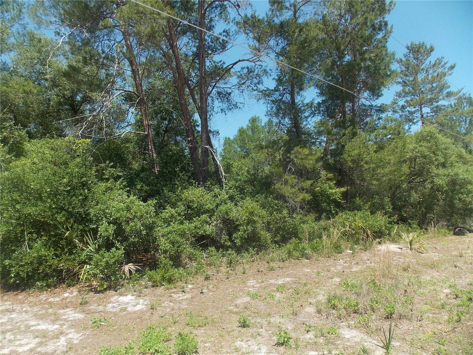 0.37 Acres of Residential Land for Sale in Paisley, Florida