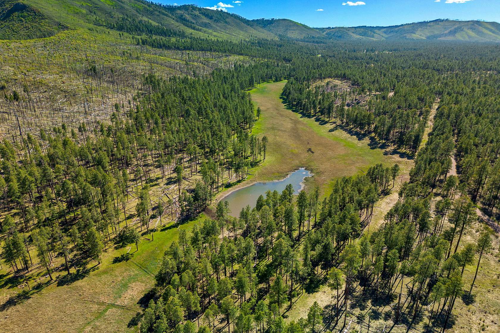 35.6 Acres of Recreational Land for Sale in Clifton, Arizona