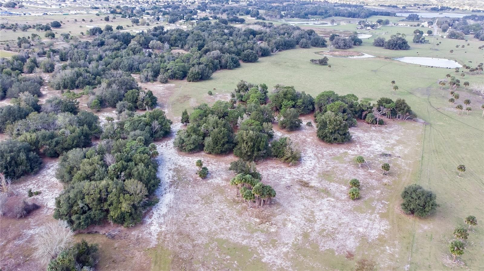 39.6 Acres of Land for Sale in Haines City, Florida