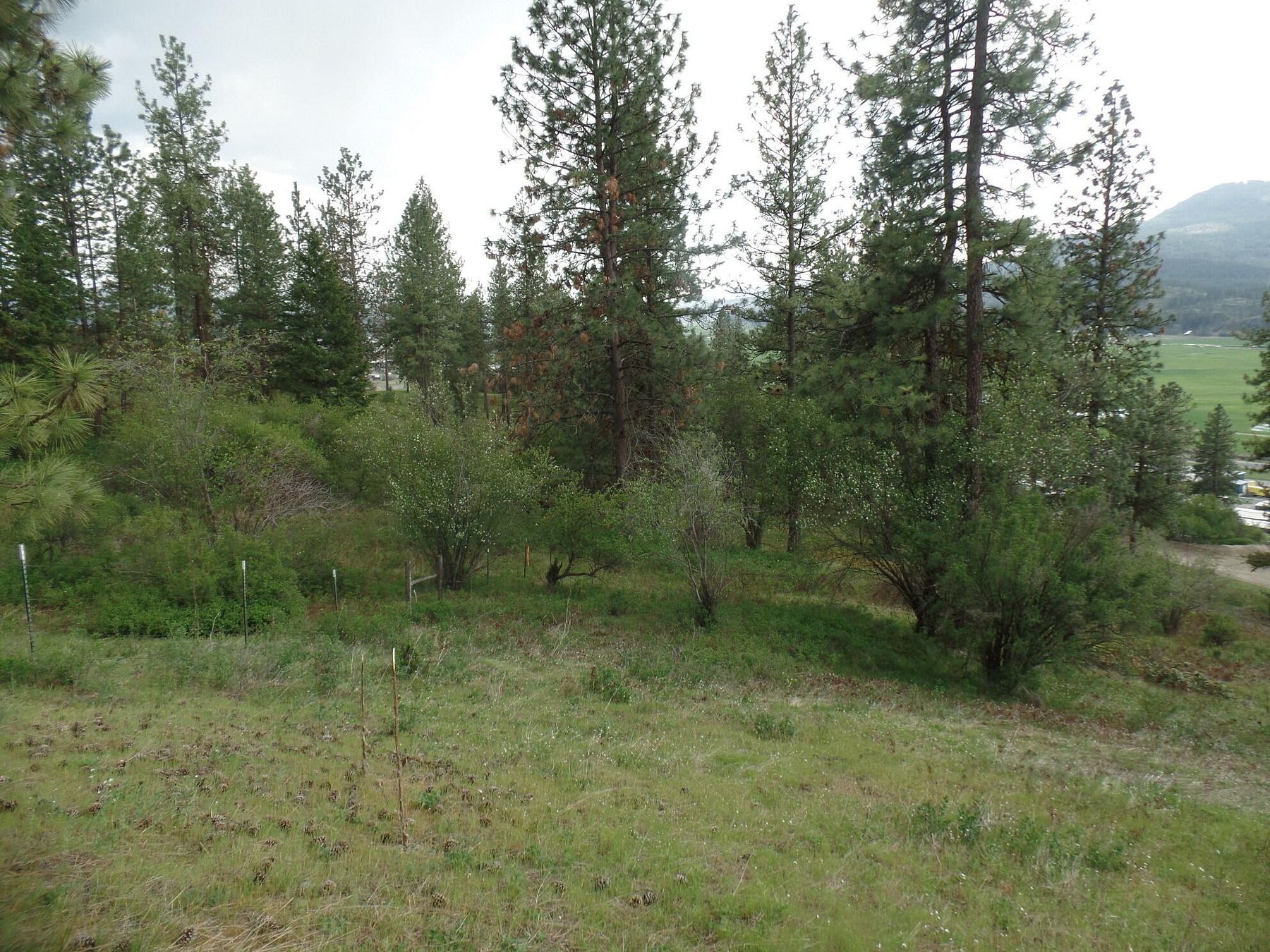 3.4 Acres of Residential Land for Sale in Colville, Washington