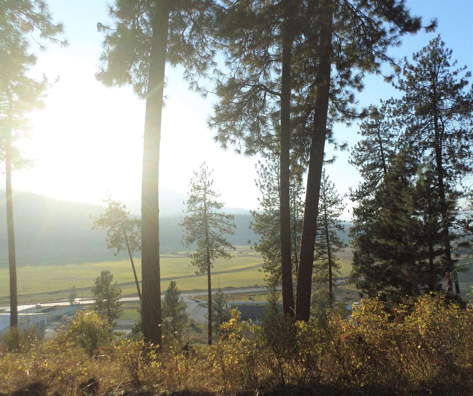 5.5 Acres of Land for Sale in Colville, Washington