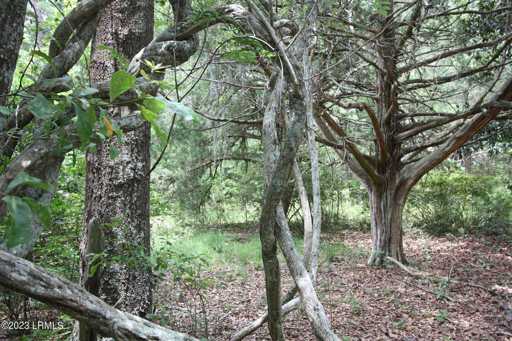 0.19 Acres of Residential Land for Sale in Walterboro, South Carolina