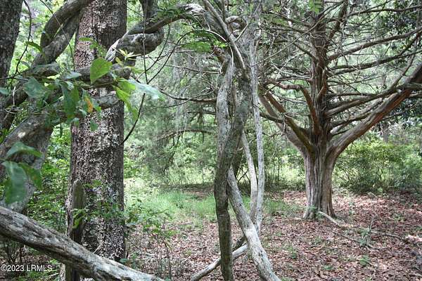 0.19 Acres of Residential Land for Sale in Walterboro, South Carolina