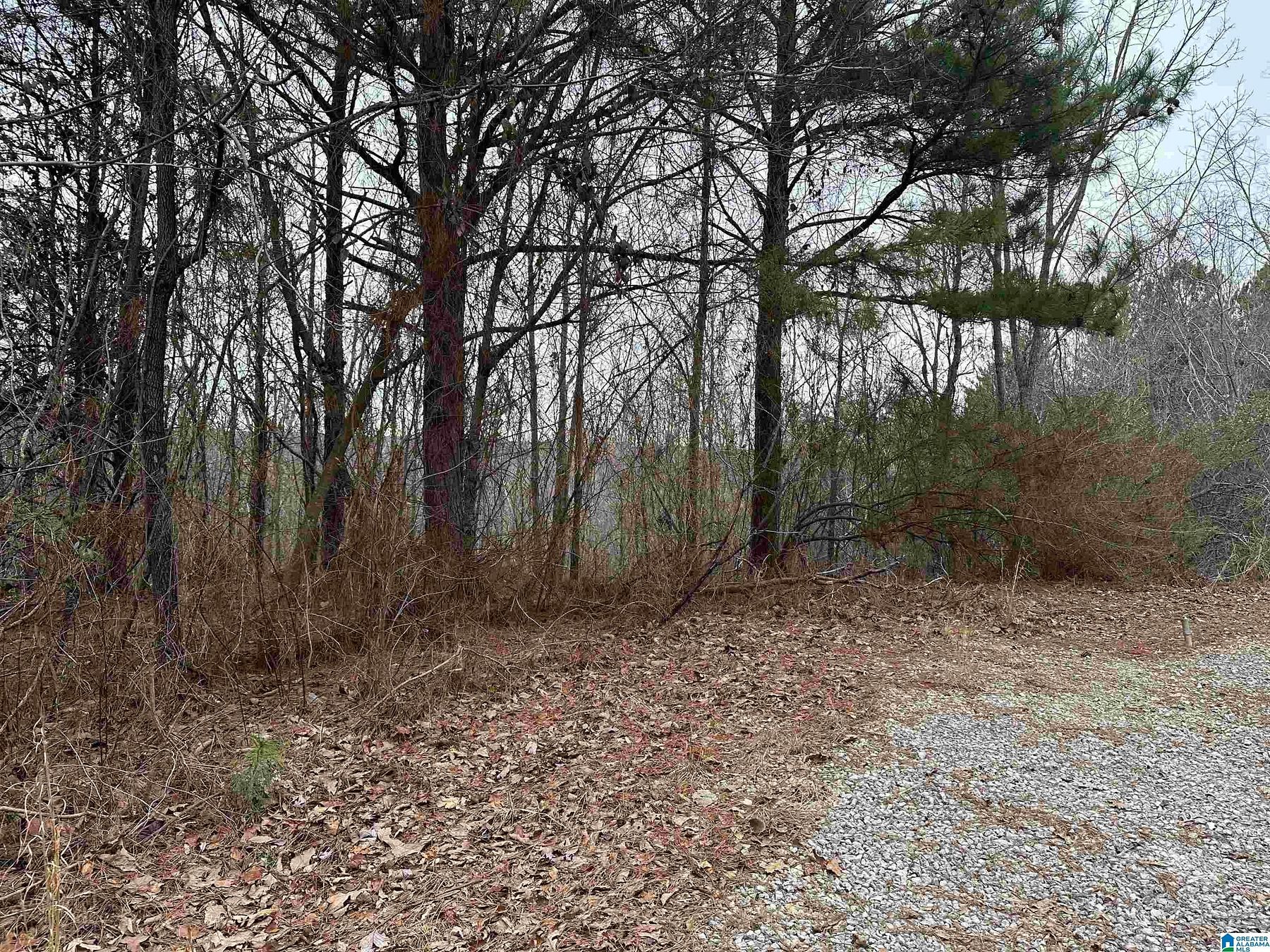 0.67 Acres of Residential Land for Sale in Bessemer, Alabama