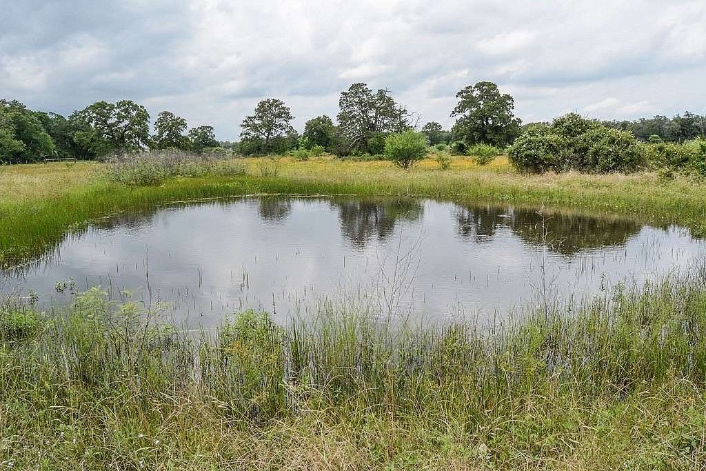 57.15 Acres of Recreational Land & Farm for Sale in Carmine, Texas