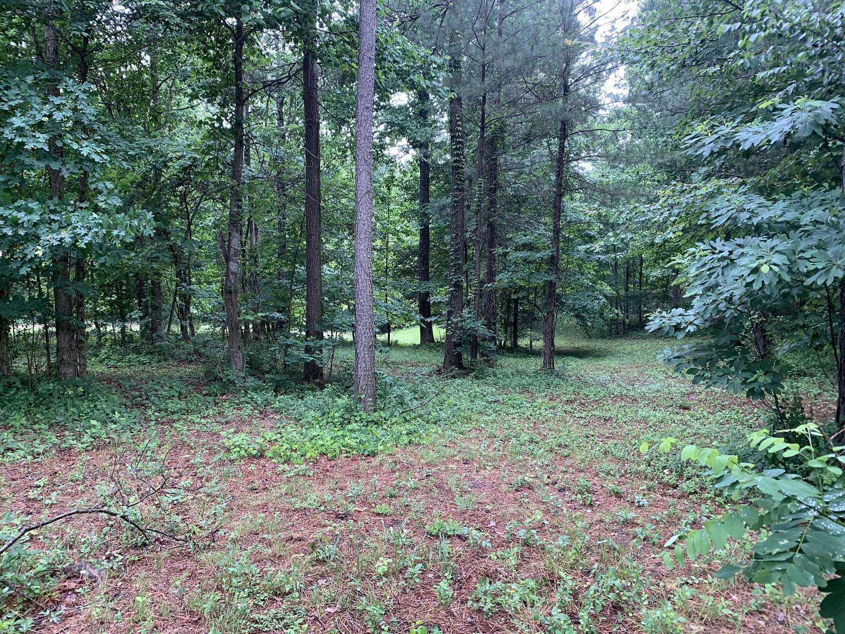 1.3 Acres of Residential Land for Sale in Jasper, Tennessee