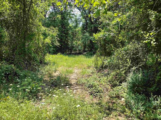 12 Acres of Land for Sale in Warlock, Texas